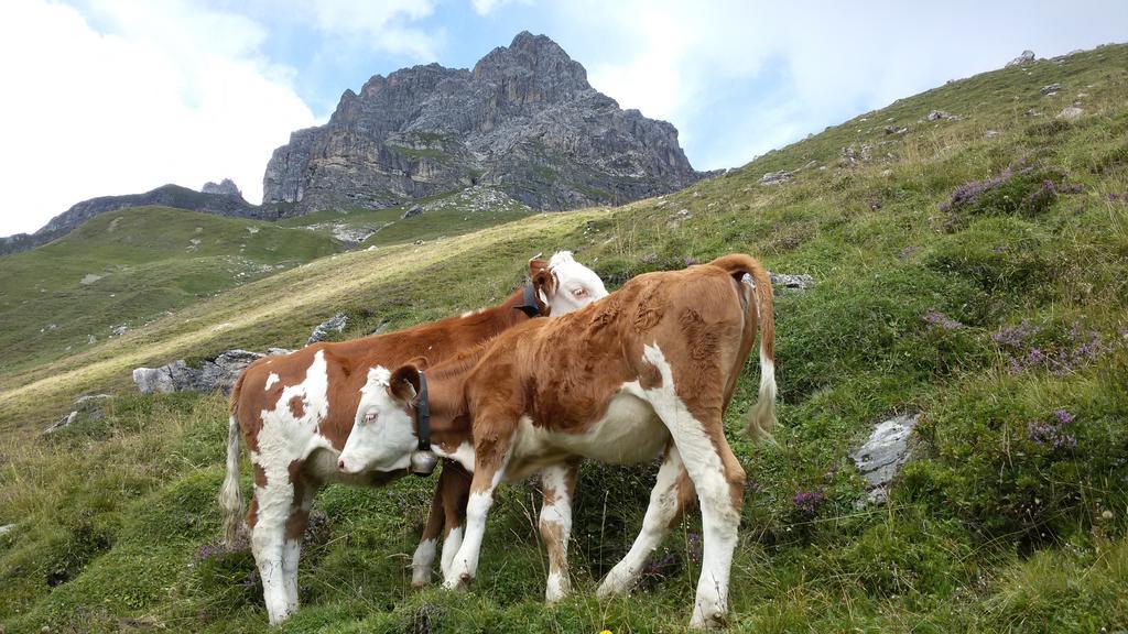 Haus Traudl Διαμέρισμα Mayrhofen Εξωτερικό φωτογραφία